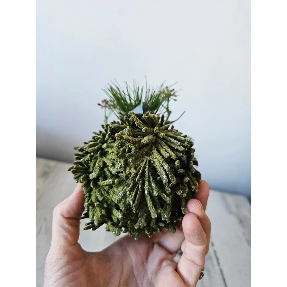 Pier 1‎ Pinecone glitter green evergreen ornament Xmas tree decor